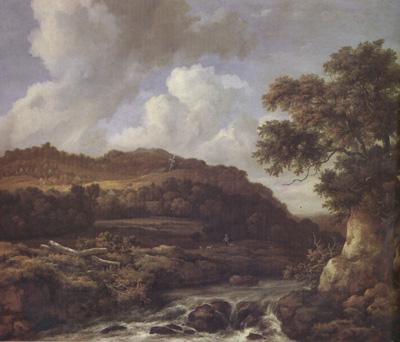 Jacob van Ruisdael A Mountainous Wooded Landscape with a Torrent (nn03) China oil painting art